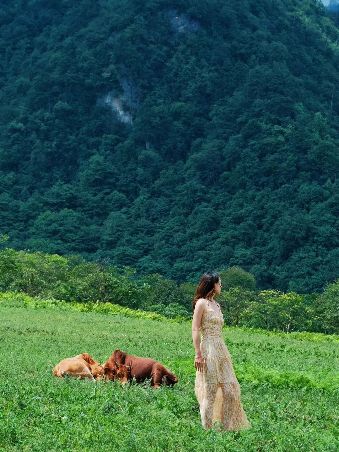 乐山黑竹沟已经美到神仙级
