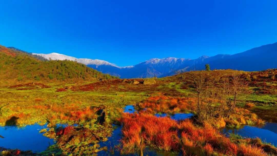 值得N刷！乐山9个宝藏登山地